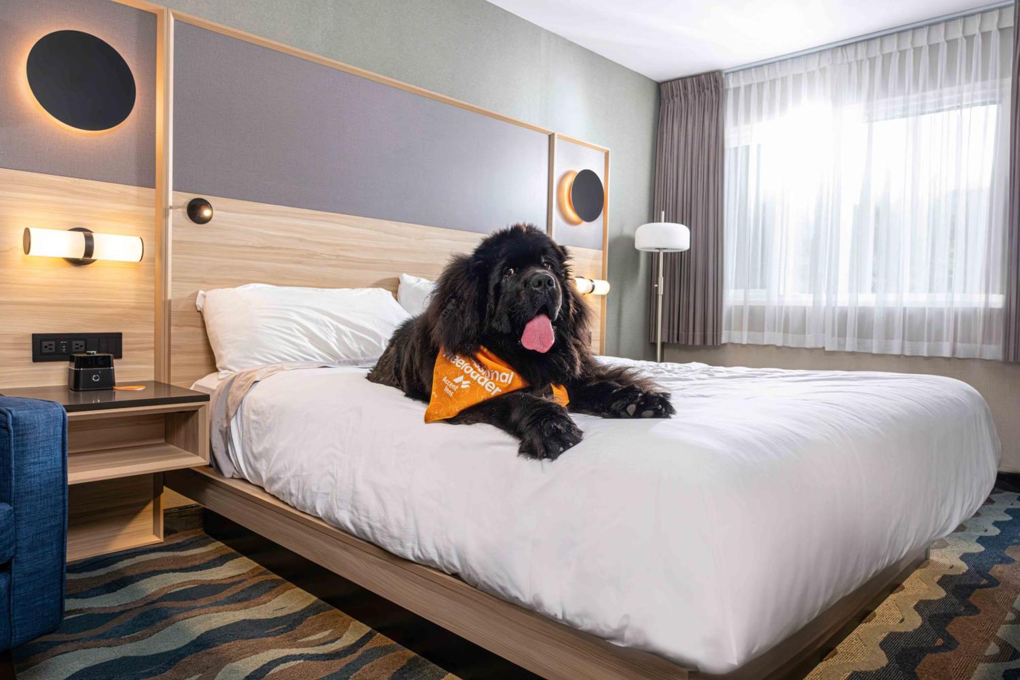 Accent Inns Vancouver Airport Richmond Bagian luar foto