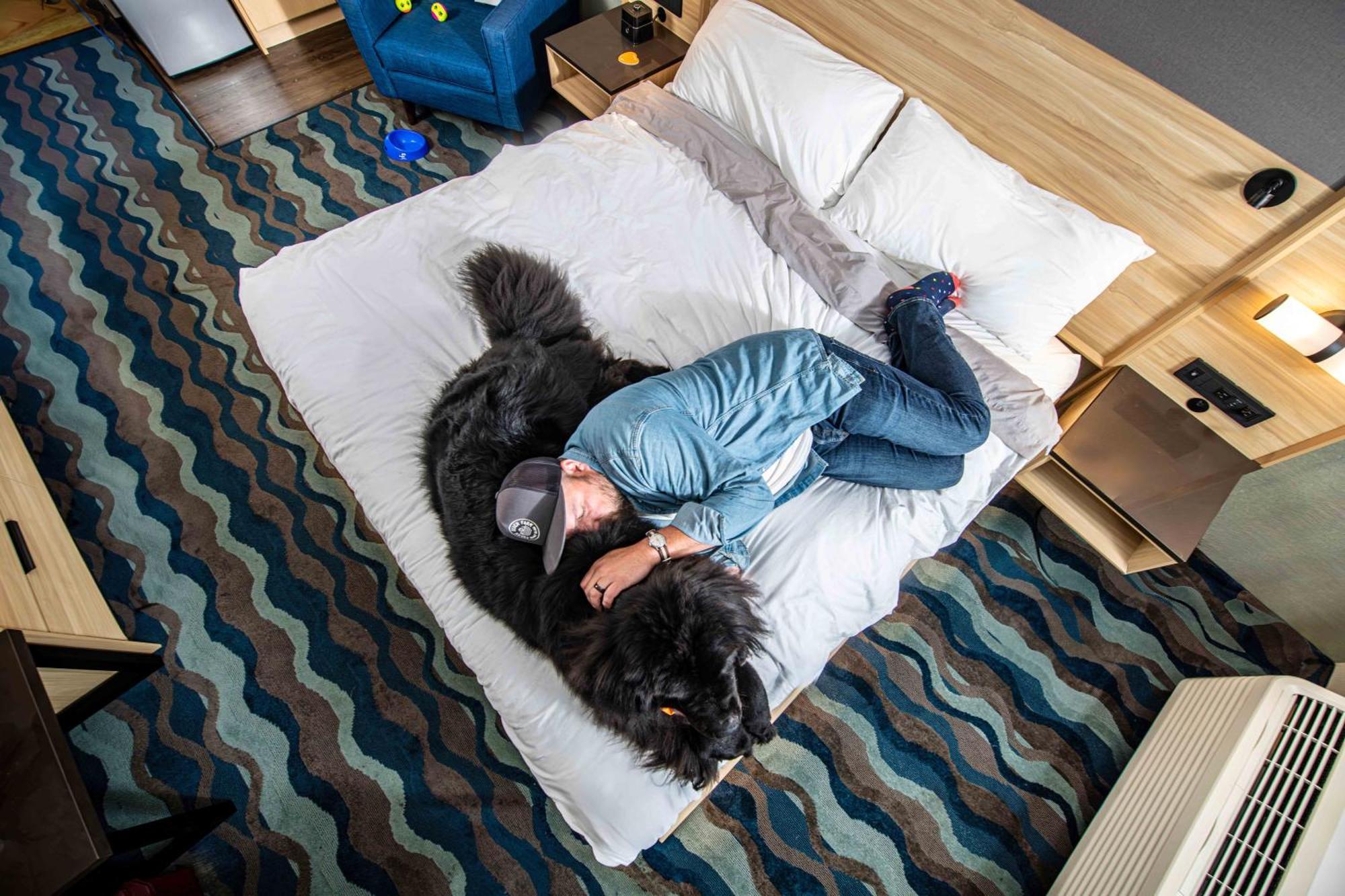 Accent Inns Vancouver Airport Richmond Bagian luar foto