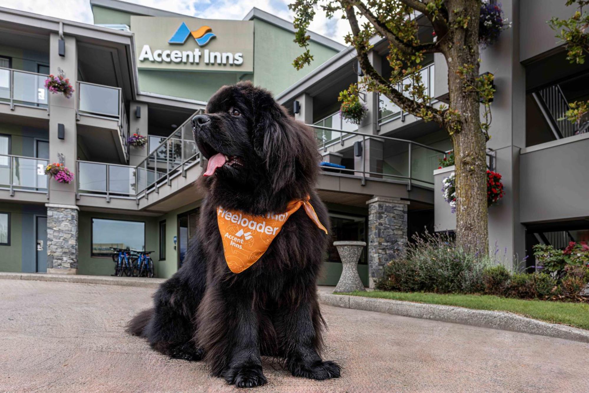 Accent Inns Vancouver Airport Richmond Bagian luar foto